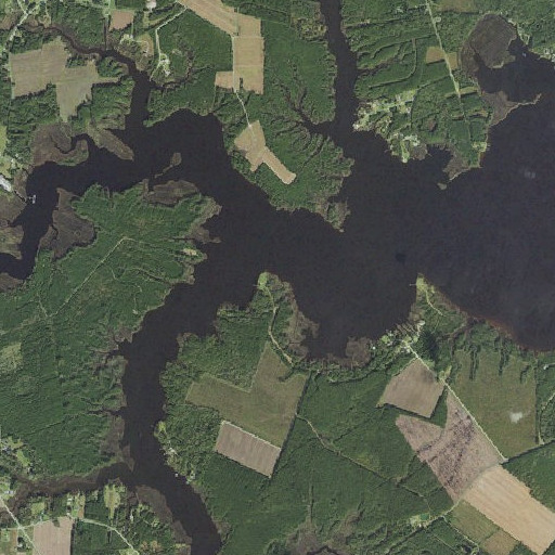 Aerial imagery of Fowler Point, NC