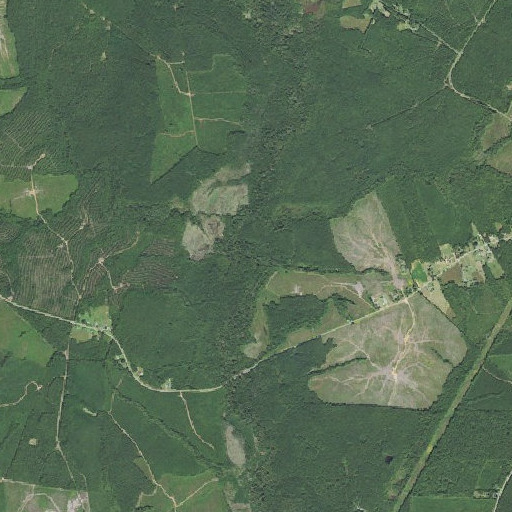 Aerial imagery of Hogpen Branch, NC