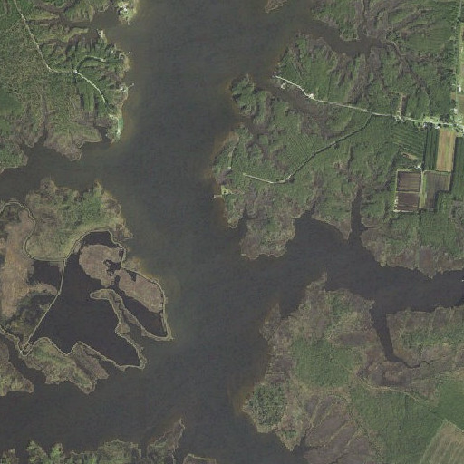 Aerial imagery of Mud Gut, NC
