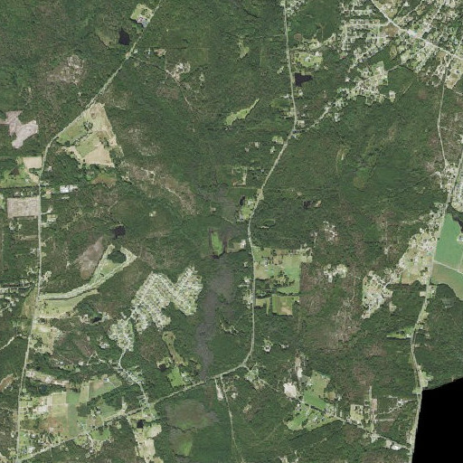 Aerial imagery of Wildcat Branch, NC