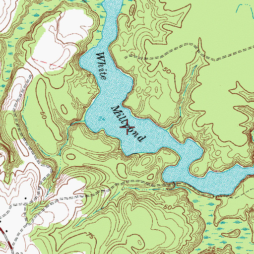 Topographic Map of Whites Millpond, NC