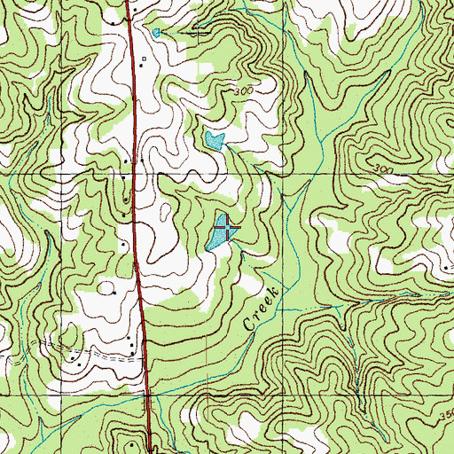 Topographic Map of Strickland Pond, NC