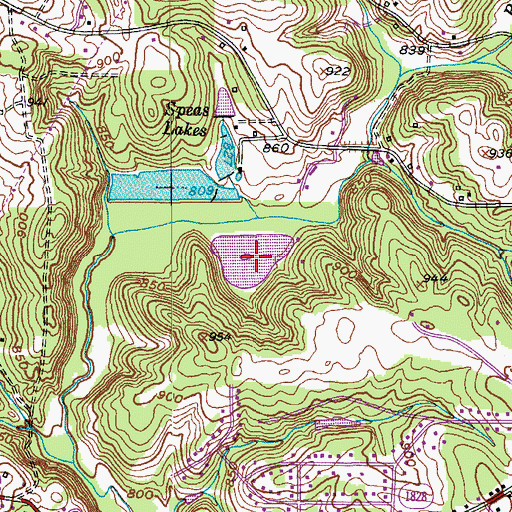 Topographic Map of Paitts Lake, NC