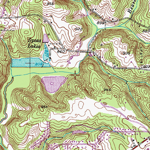Topographic Map of Piatts Lake Dam, NC