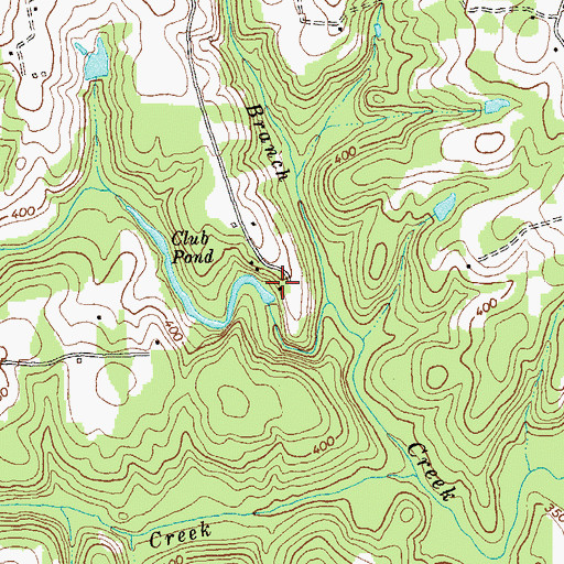Topographic Map of Ellis Pond, NC