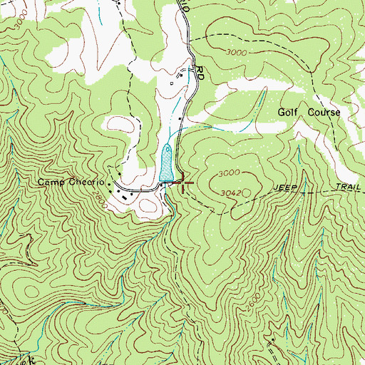 Topographic Map of Camp Cheerio Lake, NC