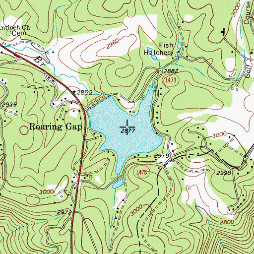 Topographic Map of Lake Louise, NC