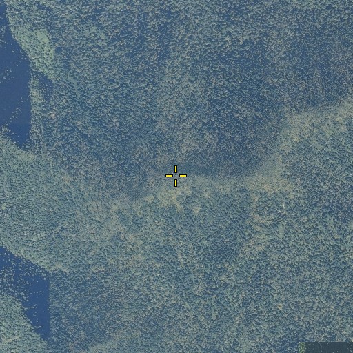 Aerial/Satellite Image of Mount Sequoyah, NC