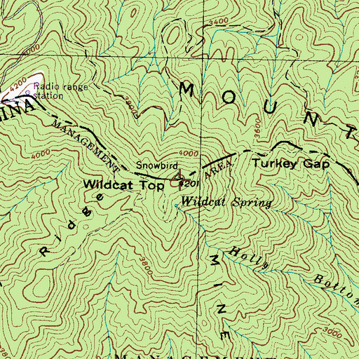 Topographic Map of Wildcat Top, TN