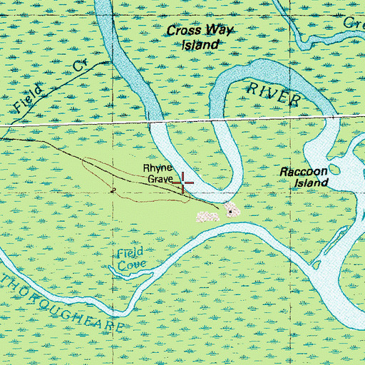 Topographic Map of Rhyne Grave, NC