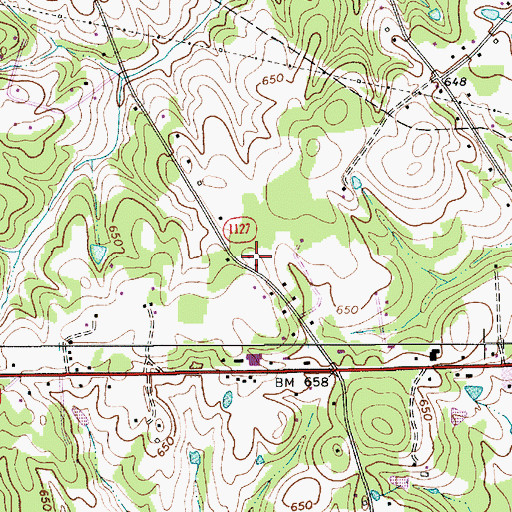 Topographic Map of Carrikers Store, NC