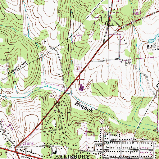 Topographic Map of Isenburg Elementary School, NC