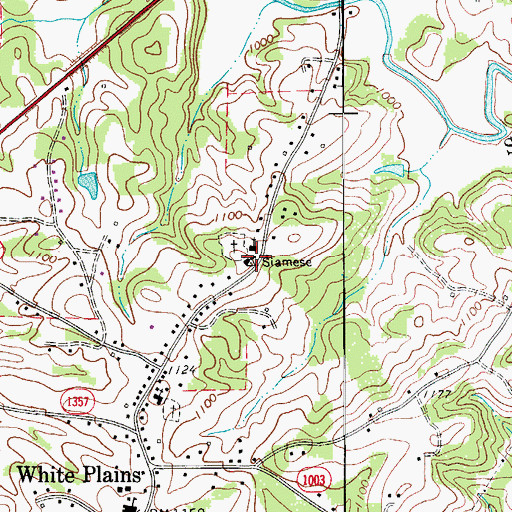 Topographic Map of Bunker Homesite, NC