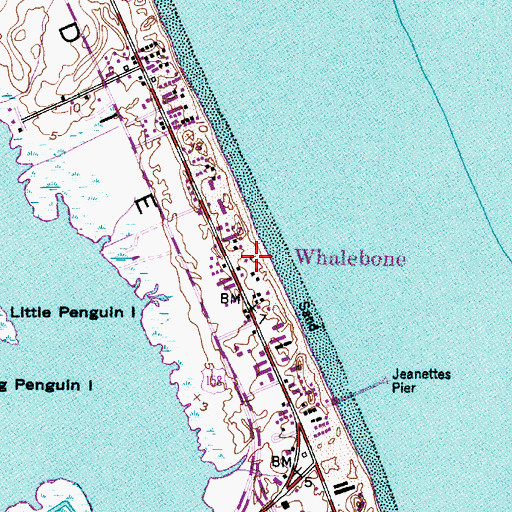 Topographic Map of Whalebone, NC