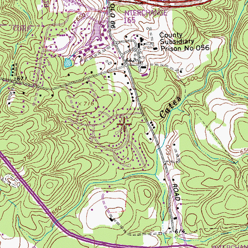 Topographic Map of Cornwallis Hills, NC