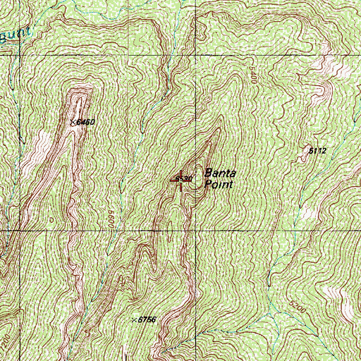 Topographic Map of Banta Point, AZ