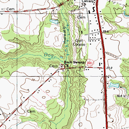 Topographic Map of Back Swamp Church, NC