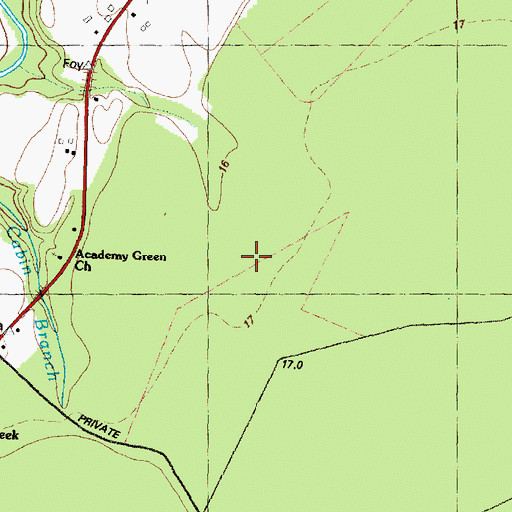 Topographic Map of Academy Green Church, NC