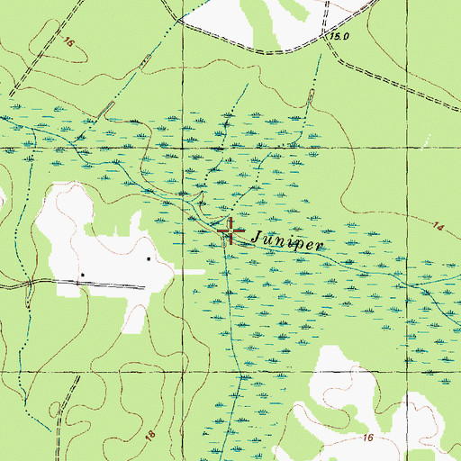 Topographic Map of Big Shakey Swamp, NC