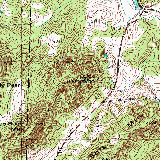 Topographic Map of Lick Mountain, NC