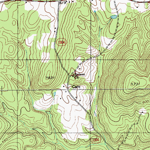 Topographic Map of Salem Church, NC