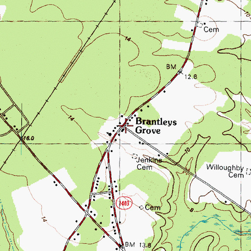 Topographic Map of Brantleys Grove, NC