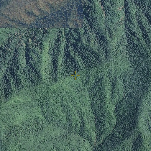 Aerial/Satellite Image of Cold Spring Gap, NC