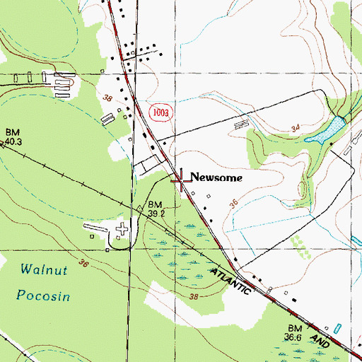 Topographic Map of Newsom, NC