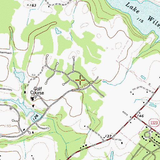 Topographic Map of Dew Field, NC