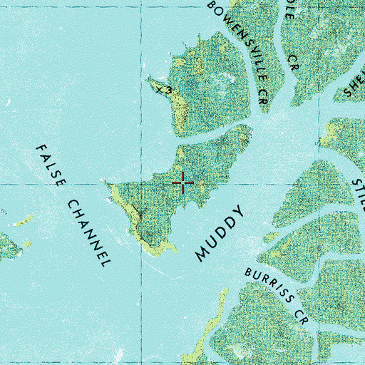 Topographic Map of Shellbed Island, NC