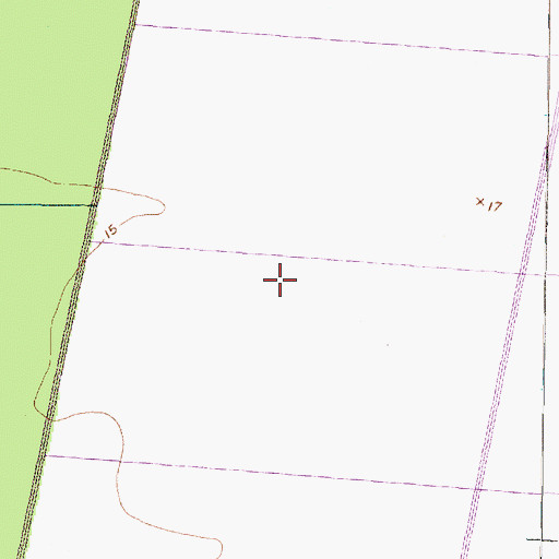 Topographic Map of Bog Scattering Pines, NC