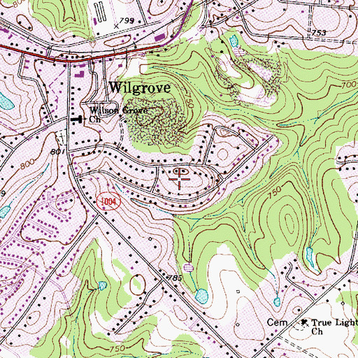 Topographic Map of Wilson Wood, NC