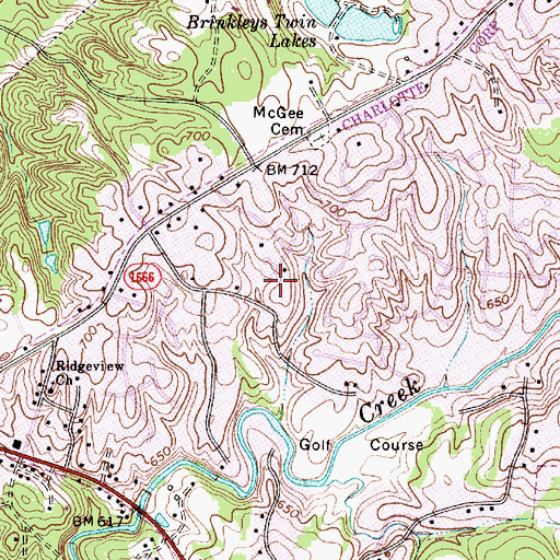 Topographic Map of Pine Island, NC