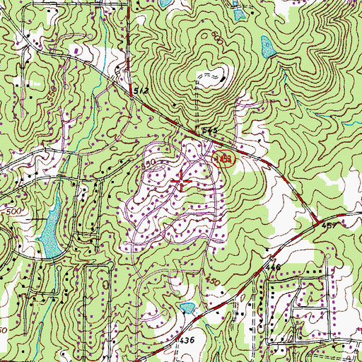 Topographic Map of Greymoss, NC
