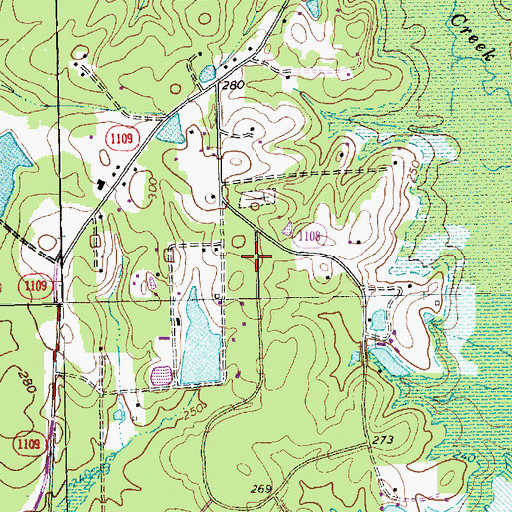 Topographic Map of The Downs, NC