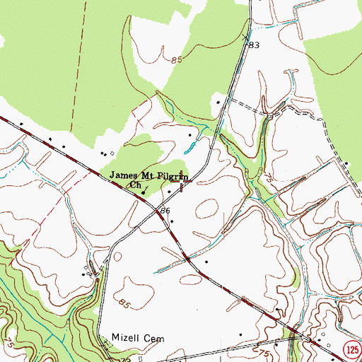 Topographic Map of Mount Pilgrim, NC