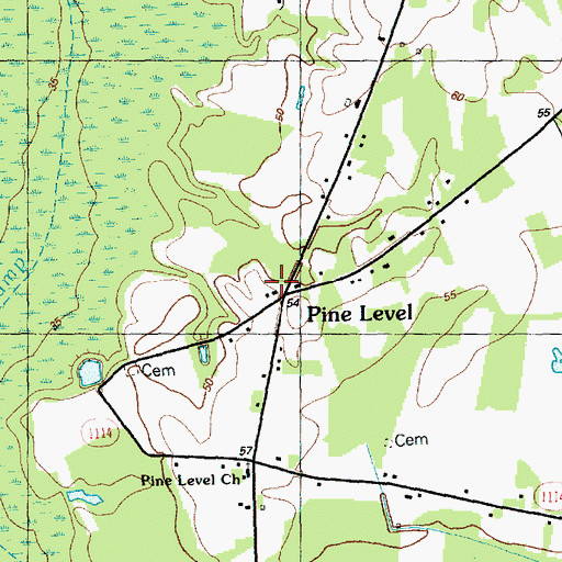 Topographic Map of Pine Level, NC