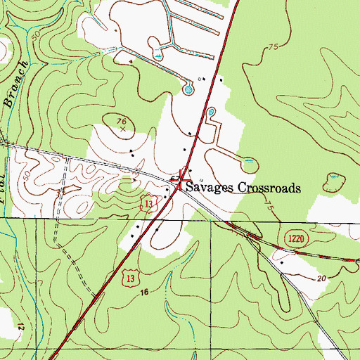 Topographic Map of Savages Crossroads, NC