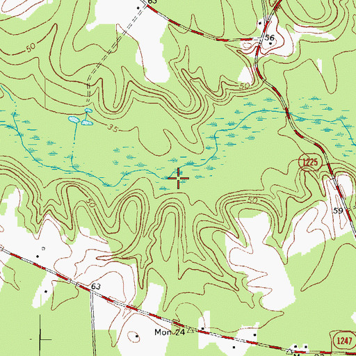 Topographic Map of Burdens Mill, NC