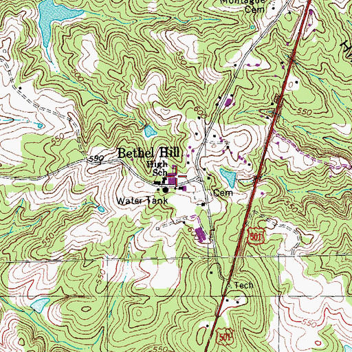 Topographic Map of Bethel Hill Elementary School, NC