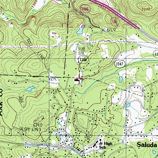 Topographic Map of Saluda Elementary, NC