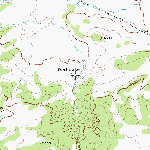 Topographic Map of Red Lake, AZ