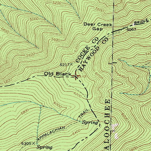 Topographic Map of Old Black, NC