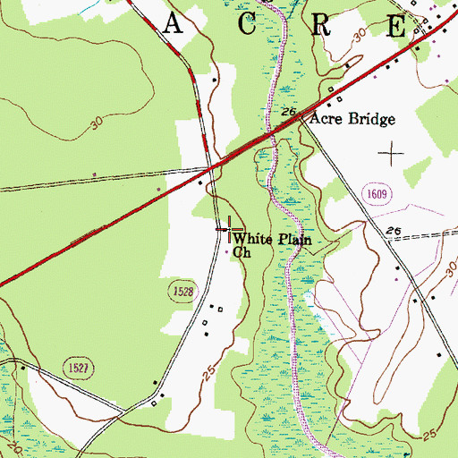 Topographic Map of White Plain Church, NC