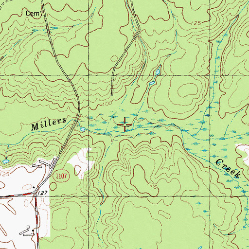 Topographic Map of Beasleys Millpond, NC