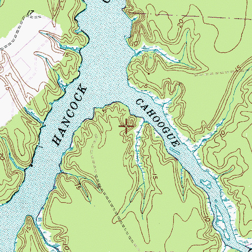 Topographic Map of Cahooque Creek Recreation Site, NC