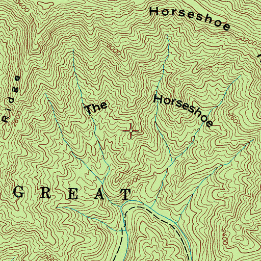 Topographic Map of The Horseshoe, NC