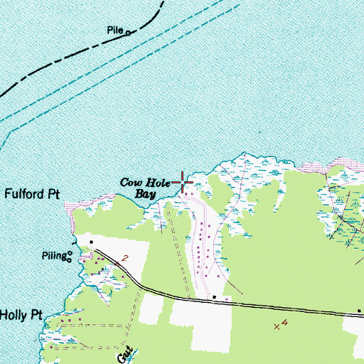 Topographic Map of Cow Hole Bay, NC