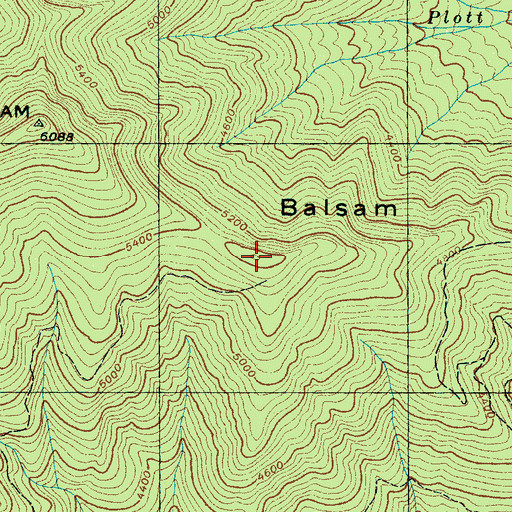 Topographic Map of Fowler Balsam Mountain, NC