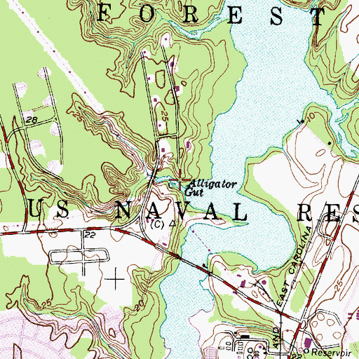 Topographic Map of Alligator Gut, NC